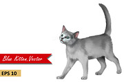 Gray Kitten. Vector