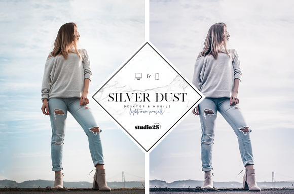 2 Silver lightroom presets in Add-Ons - product preview 2