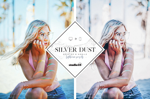 2 Silver lightroom presets in Add-Ons - product preview 4