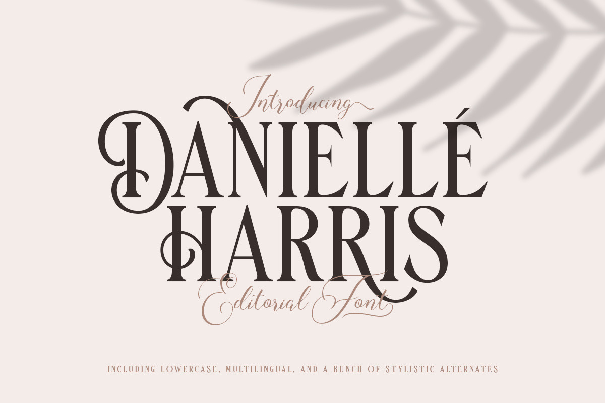 Danielle Harris - Editorial Font in Display Fonts - product preview 8