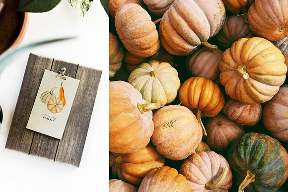 Watercolor Rich Autumn in Illustrations - product preview 20