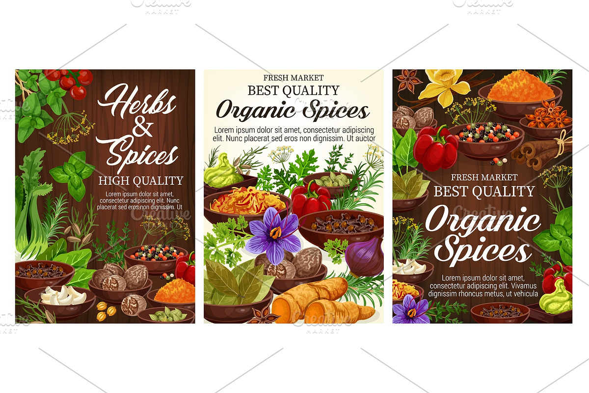 Pepper, basil, other herbs, spices in Illustrations - product preview 8