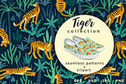 Tiger collection. Patterns & clipart
