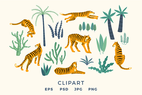 Tiger collection. Patterns & clipart in Patterns - product preview 10