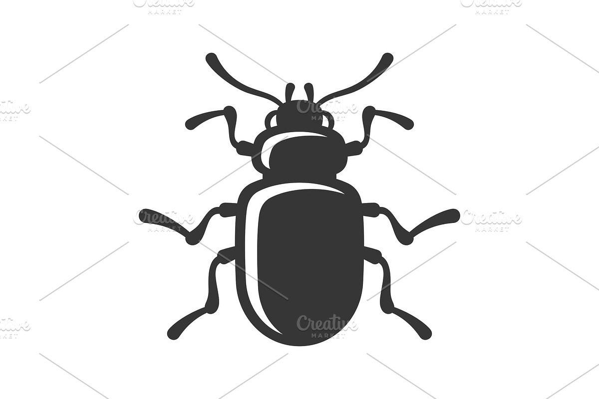 Beetle Insect Icon on White in Illustrations - product preview 8