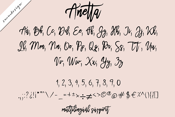 Anetta Handwritten Script Font in Script Fonts - product preview 1