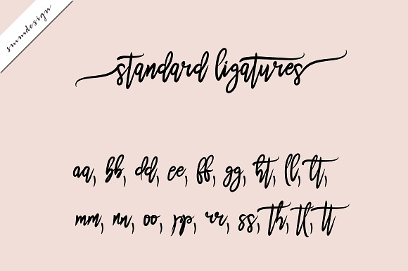 Anetta Handwritten Script Font in Script Fonts - product preview 2