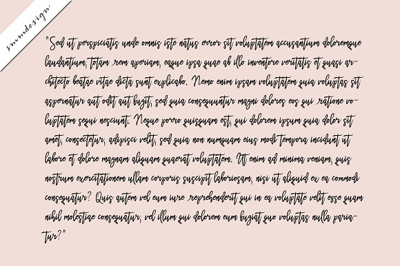 Anetta Handwritten Script Font in Script Fonts - product preview 4