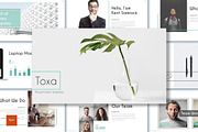 Toxa - Powerpoint Template