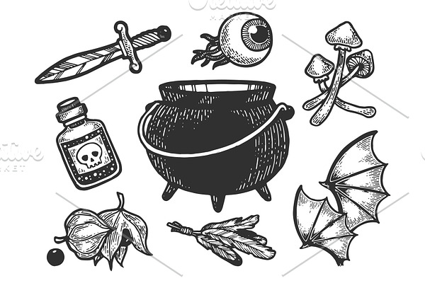 Magical witch ingredients sketch