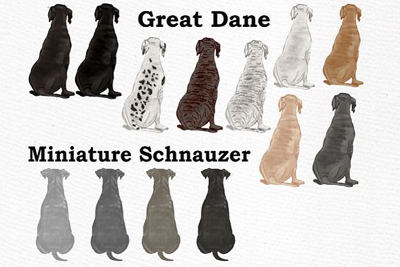 Dog Clipart, Dog breeds, Pet clipart in Illustrations - product preview 3