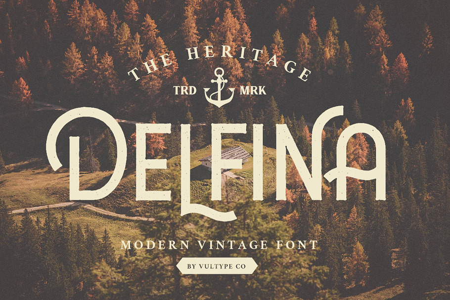 DELFINA - Vintage Font in Display Fonts - product preview 8