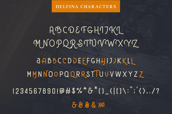 DELFINA - Vintage Font in Display Fonts - product preview 7