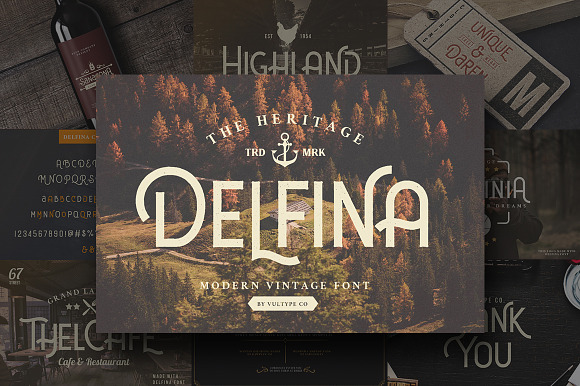 DELFINA - Vintage Font in Display Fonts - product preview 12
