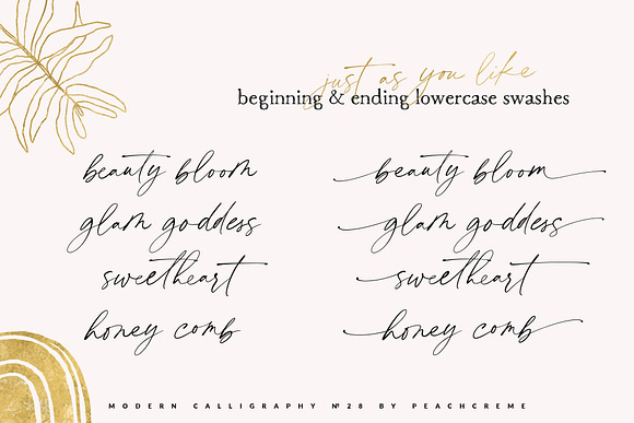 Blackstone// Casual Chic Font SALE! in Script Fonts - product preview 10