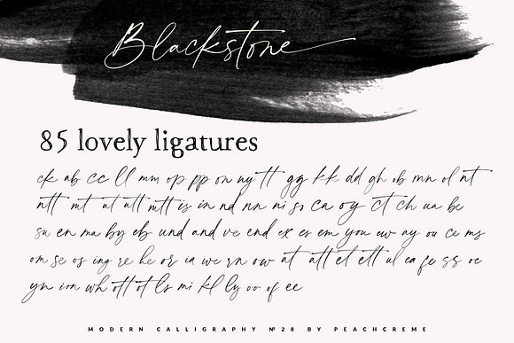 Blackstone// Casual Chic Font SALE! in Script Fonts - product preview 11