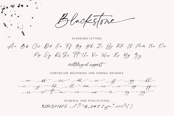 Blackstone// Casual Chic Font SALE! in Script Fonts - product preview 12