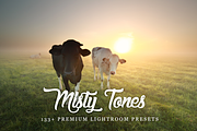 133+ Misty Tones Lightroom Presets