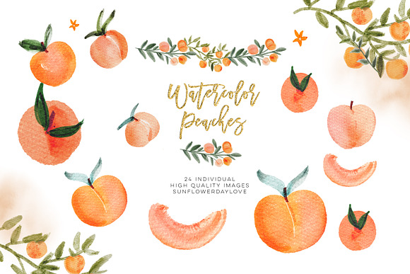 Watercolor Peach Clip Art in Illustrations - product preview 2