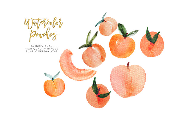Watercolor Peach Clip Art in Illustrations - product preview 4