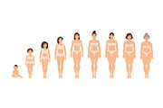 Female anatomy of different ages