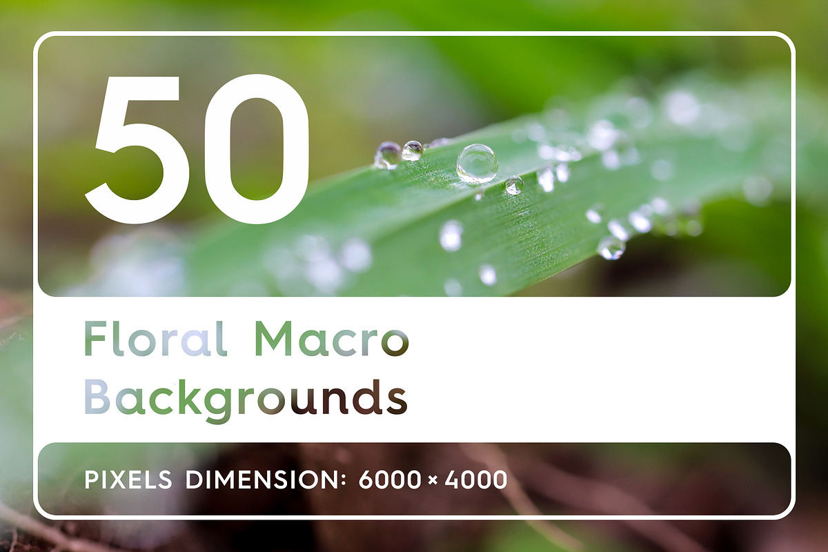 50 Floral Macro Backgrounds in Textures - product preview 8