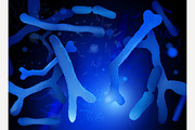 Bifidobacterium Horizontal Image