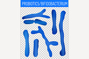 Probiotics Bifidobacterium Image