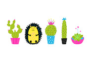 Cactus in pots and funny hedgehog
