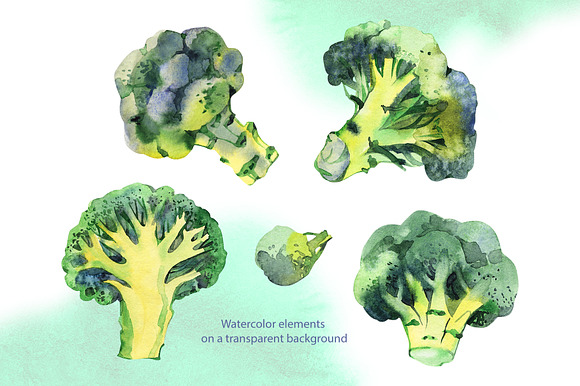 Broccoli. Watercolor cliparts. in Illustrations - product preview 1