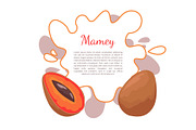 Mamey Exotic Juicy Fruit Vector