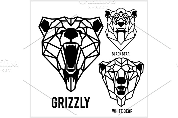 Grizzly, black bear, white bear -
