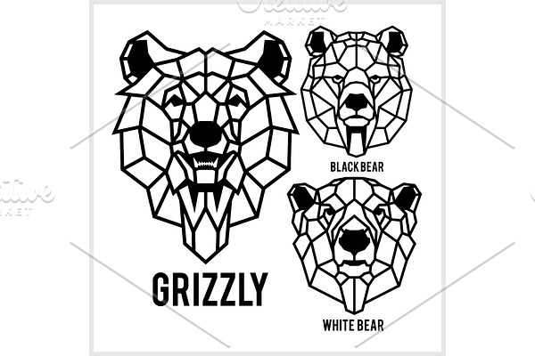 Grizzly, black bear, white bear -