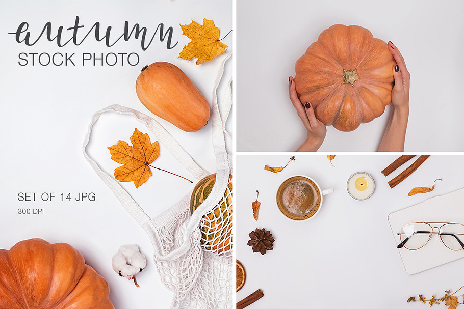Autumn stock photo set #3
