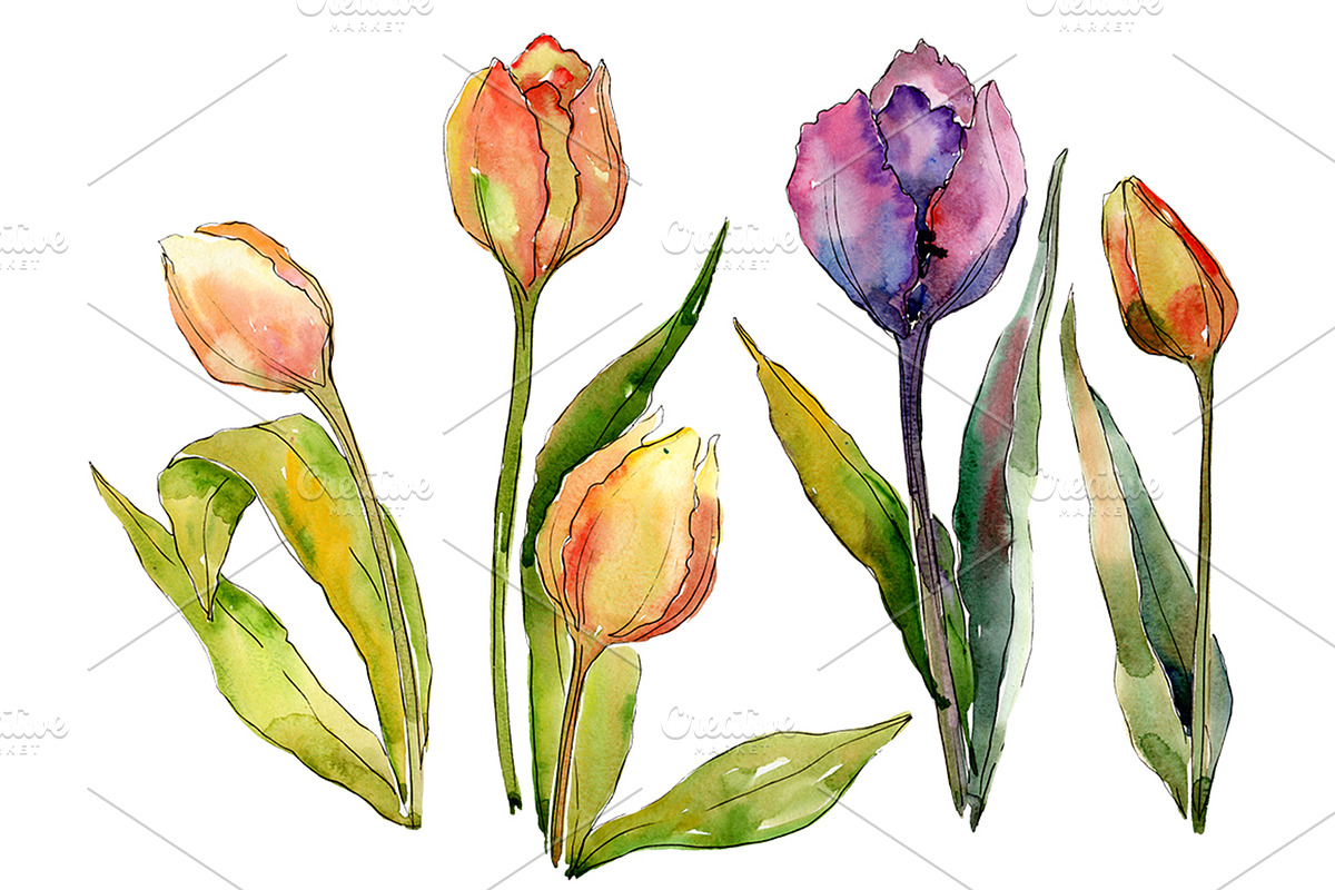 Bouquet  flowers from tulips romance in Illustrations - product preview 8