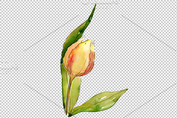 Bouquet  flowers from tulips romance in Illustrations - product preview 4