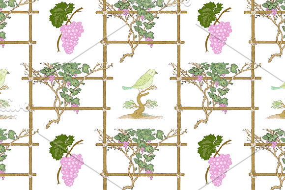 10 Grapevine seamless patterns in Patterns - product preview 2