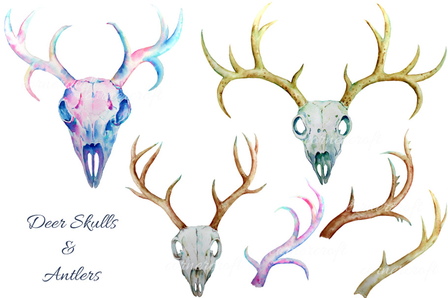 Watercolor Deer Skull clipart