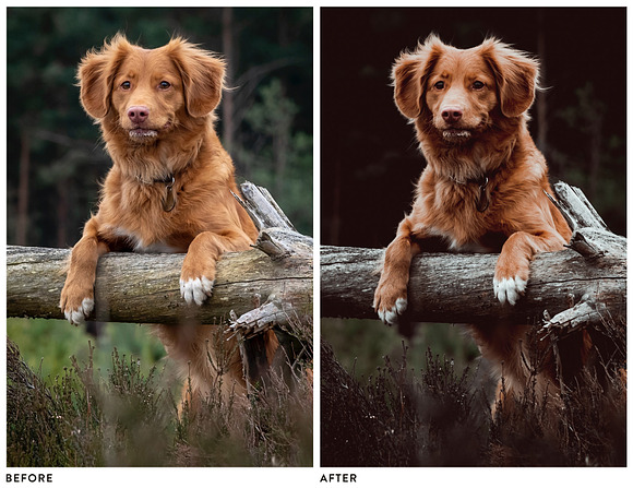 Moody Lightroom Presets in Add-Ons - product preview 2