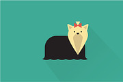 Yorkshire terrier dog icon