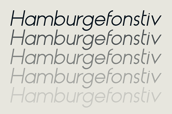 HAUS Sans Regular in Sans-Serif Fonts - product preview 2