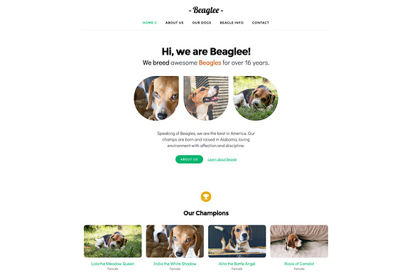 Kariboo Kennel -WP Dog Breeder in WordPress Business Themes - product preview 1
