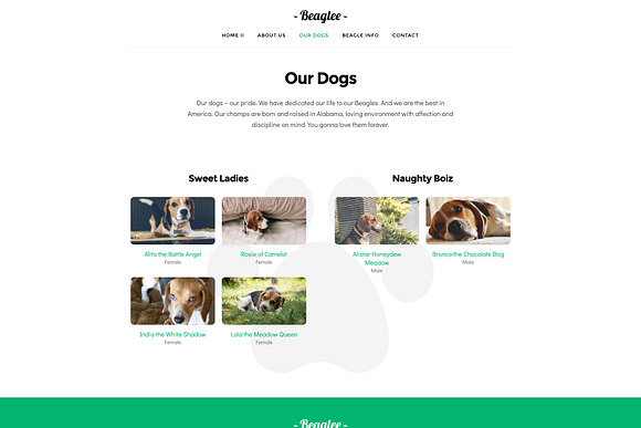Kariboo Kennel -WP Dog Breeder in WordPress Business Themes - product preview 6