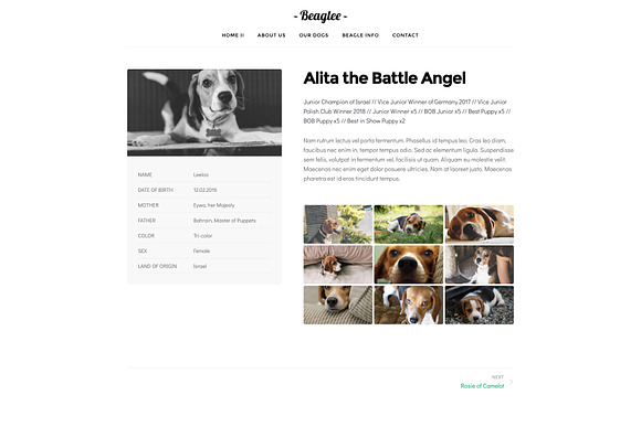 Kariboo Kennel -WP Dog Breeder in WordPress Business Themes - product preview 7