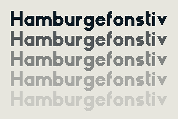 HAUS Sans Extra Bold in Sans-Serif Fonts - product preview 1