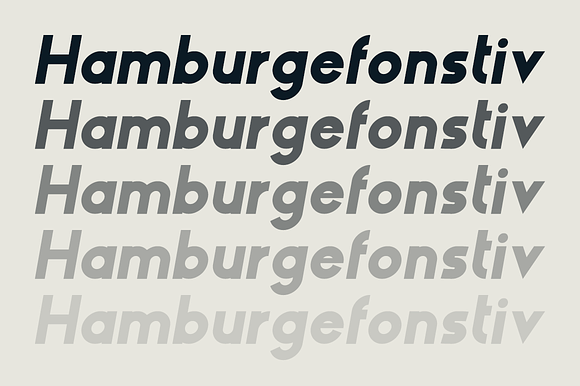 HAUS Sans Extra Bold in Sans-Serif Fonts - product preview 2