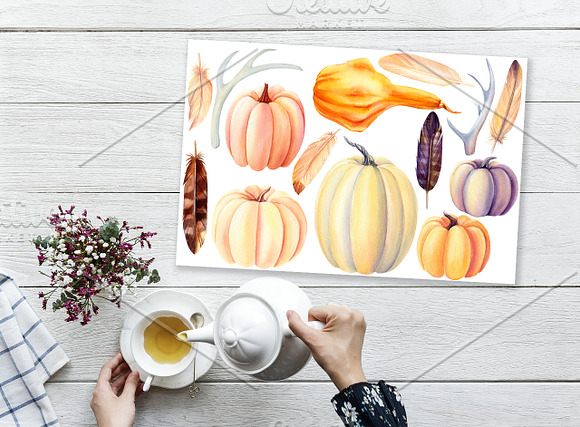 Autumn harvest, watercolor in Illustrations - product preview 1