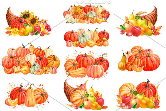 Autumn harvest, watercolor in Illustrations - product preview 9