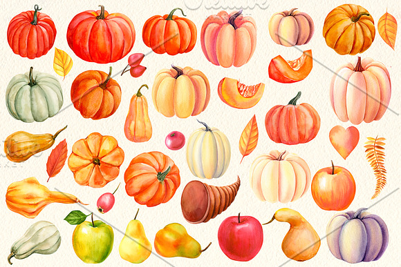 Autumn harvest, watercolor in Illustrations - product preview 10