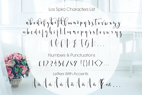 Los Spiro, Smooth Modern Calligraphy in Script Fonts - product preview 3